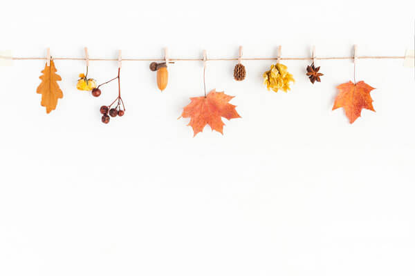 several autumn leaves and nuts hanging by clothespins on a line