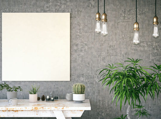 blank canvas mounted on a wall behind a table with several plants