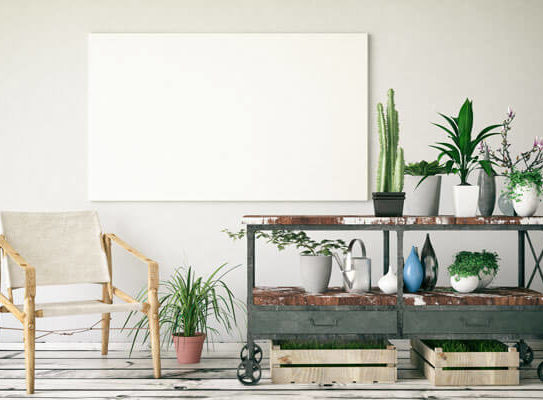 blank canvas mounted on a wall behind a table with many potted plants