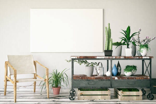 blank canvas mounted on a wall behind a table with many potted plants