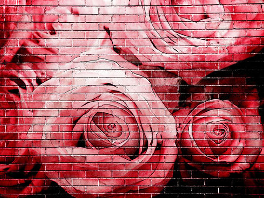 mural of roses on a brick wall