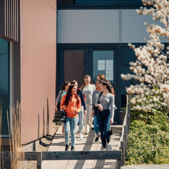 a group of young women walk past a cherry blossom tree