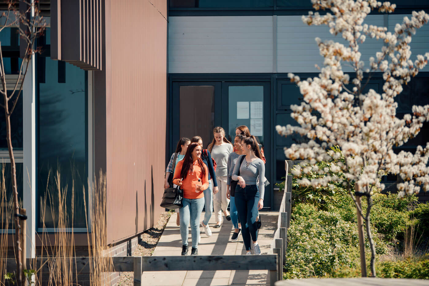 a group of young women walk past a cherry blossom tree