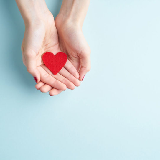 2 cupped hands holding a heart