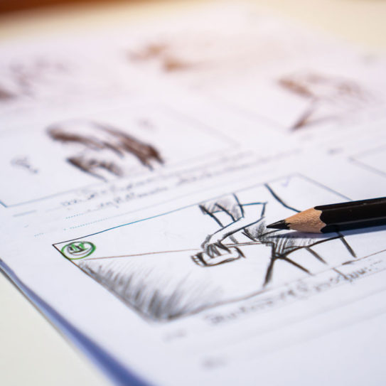 a storyboard is used by videographers during the pre-production process for visualizing ideas