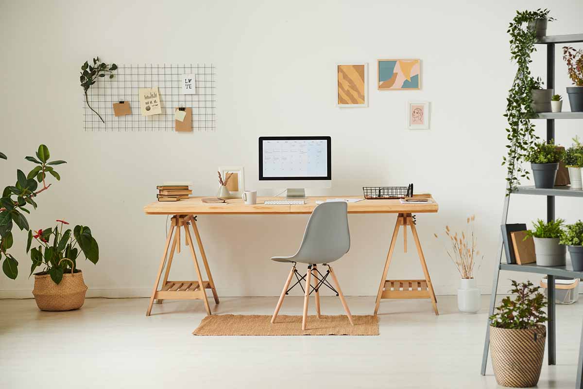 Comfortable workplace with potted plants