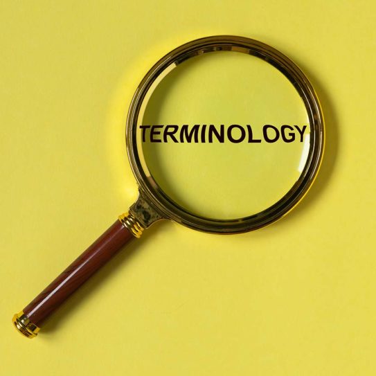 Terminology word through magnifier on bright yellow background, top view.