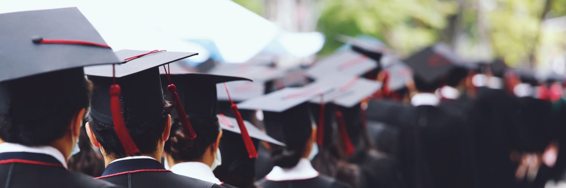 Graduates in black caps and gowns stand outdoors in a line, seen from behind during a graduation ceremony.